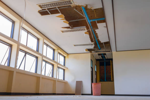 Best Emergency water damage restoration  in Parks, AZ