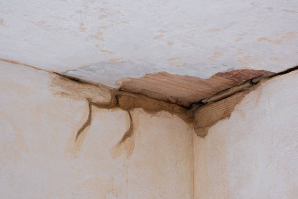 Best Sewage cleanup and water damage restoration  in Parks, AZ