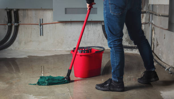 Best Water damage contractors near me  in Parks, AZ
