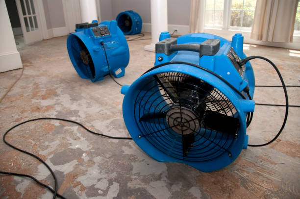 Best Professional water damage repair  in Parks, AZ