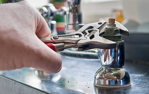 Best Mold removal after water damage  in Parks, AZ