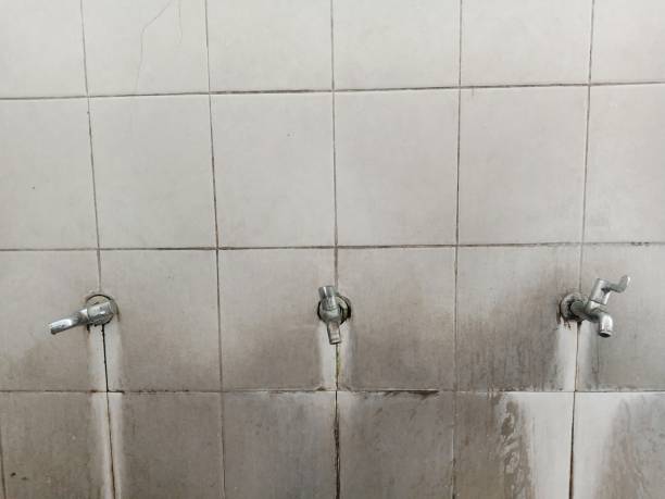  Parks, AZ Water damage restoration Pros