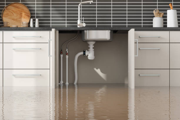 Best Water damage restoration near me  in Parks, AZ