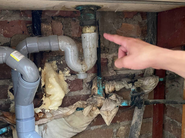 Best Commercial water damage restoration  in Parks, AZ
