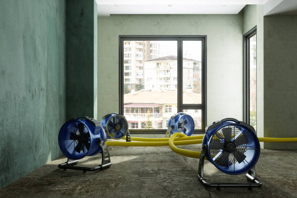 Best Professional water damage repair  in Parks, AZ